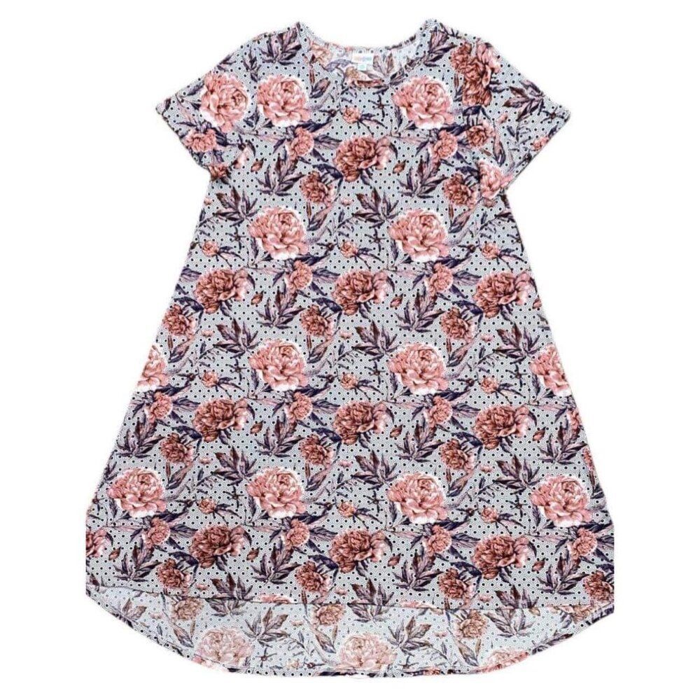 NEW LuLaRoe XL Carly Floral‎ Blue Pink Swing Dress High Low Flowy Short Sleeve